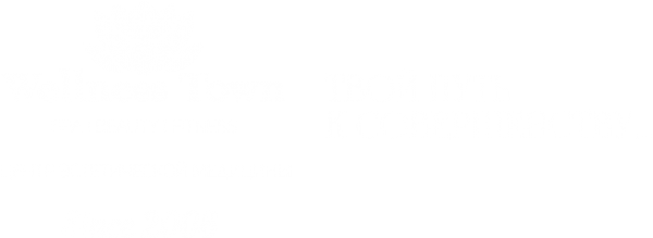 Логотип компании Wellness Town