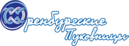 Логотип компании ВЛАСТЬ. Оренбургская область
