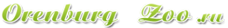 Логотип компании Зоомаркет