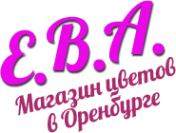 Логотип компании Е.В.А