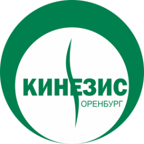 Логотип компании Медицинский оздоровительный центр «Кинезис»